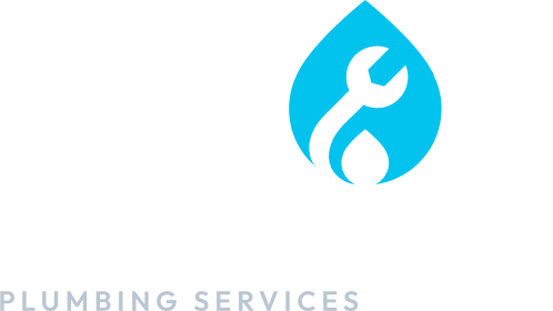 dallasplumbingworks.com